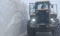 Hizan'da çığ tehlikesi nedeniyle karla mücadele çalışmaları durduruldu