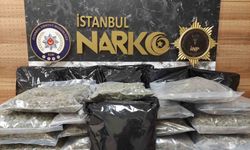 İstanbul'da uyuşturucu operasyonu: 22 kilo 450 gram skunk ele geçirildi
