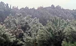 İstanbul'da yüksek kesimlerde kar yağışı başladı