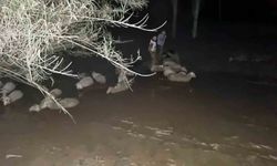 İtfaiyeden koyun kurtarma operasyonu