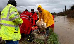 İzmir'de ekiplerin yağış seferberliği sürüyor