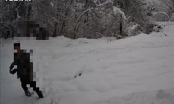 Kaçak avlanan şahıs fotokapana yakalandı