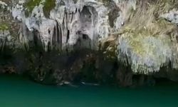 Karakoçan'da su samurları görüntülendi