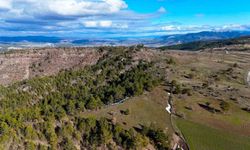Karlar eridi, yaylalar yeşile bürünmeye başladı