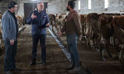 Kars Tarım ve Orman Müdürlüğü sahada: Bayraktar Köyü'nde büyükbaş işletmesine ziyaret