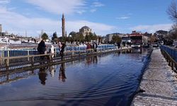 Kars'ta bahar havası: Güneşi gören kendisini dışarı attı