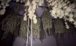 Kırklareli'nde 54 kilogram esrar ele geçirildi: 1 tutuklama