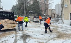 Kırklareli'nde solüsyonla ilaçlama ve tuzlama çalışmaları