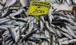 Kocaeli'de balık tezgahlarındaki son durum