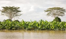 Kolombiya'da ülke genelindeki sellerde 6 kişi hayatını kaybetti