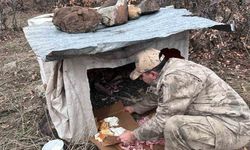 Köy yoluna bırakılan yavru köpeklere jandarmandan şefkat eli