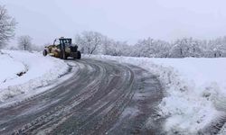 Kulp'ta kar nedeni ile kapanan yolları açılıyor