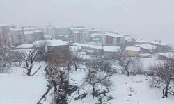 Kulp'ta kar yağışı etkili oldu, ilçe beyaza büründü