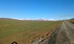 Kulp'ta yağışlar çiftçinin umudu arttı