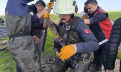 Kuyuya düşen inek itfaiye ekiplerince kurtarıldı