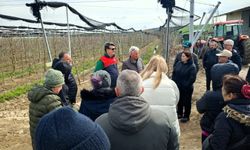 Lüleburgaz'da üreticilere uygulamalı budama eğitimi