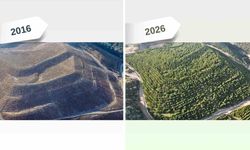 Maden sahaları rehabilitasyonla yeniden yeşeriyor