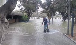 Manavgat Irmağı'nda su debisi yükseldi, işletmeleri su bastı