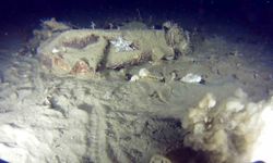 Marmara Denizi'ne 51 yıl önce düşen THY uçağına ait yeni izler bulundu