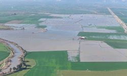 Menderes taştı, yüzlerce dönüm sular altında kaldı