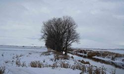 Meteorolojiden kuvvetli fırtına uyarısı