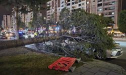 Meteoroloji'den 'kuvvetli rüzgar' ve 'fırtına' uyarısı