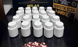 Milas'ta uyuşturucu operasyonu: 1 tutuklama