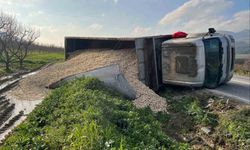 Mısır koçanı yüklü çekici devrildi: 1 yaralı