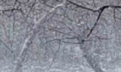 Mudurnu'da lapa lapa kar yağışı etkili oldu