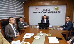Muğla Orman Bölge Müdürlüğü'nde Faaliyet Değerlendirme Toplantısı gerçekleştirildi