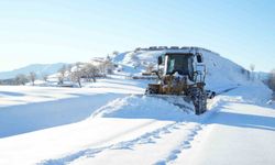 Muş'ta 146 köy yolu ulaşıma kapandı