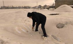 Muş'ta bembeyaz kar bir gecede kahverengiye dönüştü