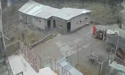 Nevşehir'de fırtına ağıl ve mandırayı vurdu: 12 koyun telef oldu