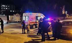 Ordu'da trafik kazası: 2 yaralı