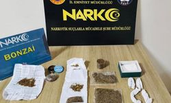 Ordu'da uyuşturucu operasyonlarında 19 tutuklama