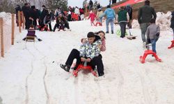 Ordu'nun menderesleri ile ünlü bin 500 rakımlı yaylasında kar festivali