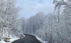 Ordu'nun yüksek kesimlerinde kar manzarası