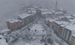 Ordu'nun yükseklerinde kar yağışı