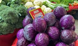 Pazarda tanesi 80 lira; çiftçiden 5 liradan almak istediler