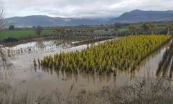 Sağanak yağış Ödemiş'te zarara neden oldu