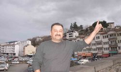 Şahin'in havadaki güvercin avı