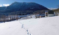Sakarya'nın yüksek kesimleri yeniden karla buluştu