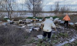 Salihli'de 103 kovan arı sele kapıldı