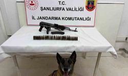 Şanlıurfa'da uzun namlulu silah ele geçirildi: 1 gözaltı