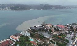 Sarıyer Baltalimanı sahilindeki kirlilik havadan görüntülendi
