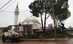 Şehzadeler Belediyesi'nin budadığı dallar ihtiyaç sahiplerinin ocağını ısıtıyor