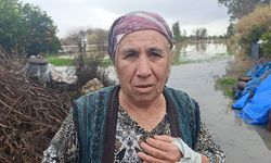 Selde mahsur kalan köpeği AKOM ekipleri kurtardı