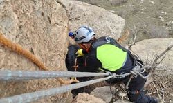 Siirt'te üç gündür mahsur kalan keçi dağcılar tarafından kurtarıldı