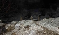 Şırnak'ta dev kayalar köye düştü, 30 hayvan telef oldu