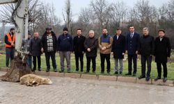 Söğüt'te alt yapı çalışmalarında ilk kazma vuruldu